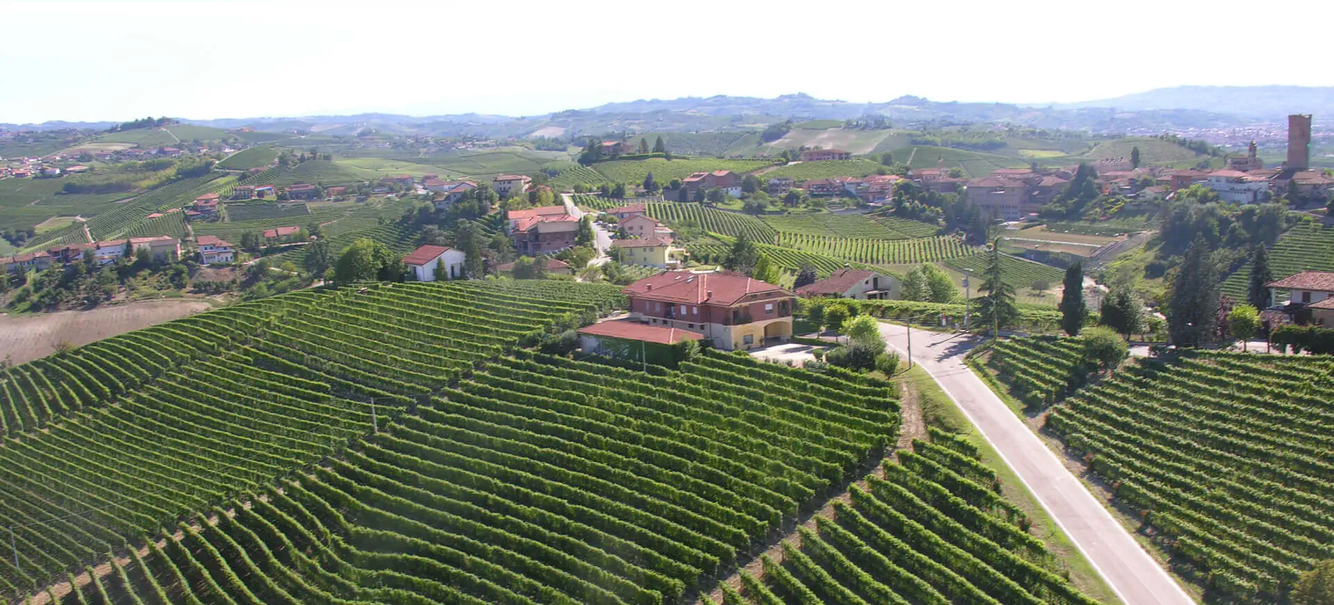 Cascina Albano - Barbaresco